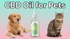 CBD Oil for Pets: Benefits, Safety, Dosage & What Every Pet Owner Should Know