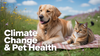 Climate Change and Pet Health: How Rising Temperatures, Air Quality, and Weather Affect Dogs & Cats