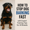 How to Stop Dog Barking Fast – Works for All Breeds!