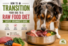 How to Transition Your Dog to a Raw Food Diet Safely: Beginner’s Guide