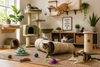 How to Create the Perfect Indoor Playground for Your Cat