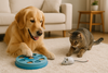 Interactive Toys for Pets: Why Mental Stimulation is Essential for Your Pet’s Health and Happiness