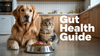 Pet Digestive Health Probiotics: Expert Guide to Boosting Your Dog and Cat’s Gut Health Naturally
