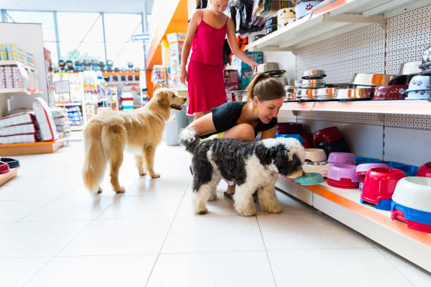 Affordable Dog Supplies That'll Make You Wonder Why You Ever Paid More!
