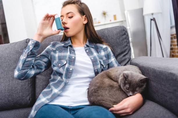 Asthma in Cats – Causes, Symptoms & Treatment