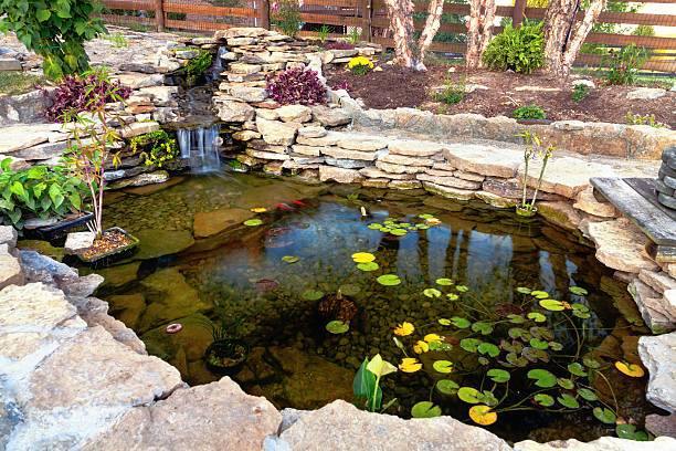 Backyard Fish Pond – 4 Tips For Building One