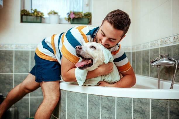 Bathing a Dog – How to Do It the Right Way
