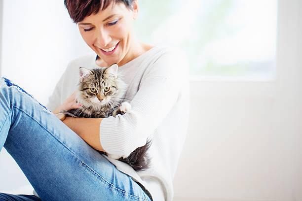 Benefits of Having a Cat – Here are 5 of Them