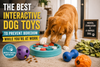 The Best Interactive Dog Toys to Prevent Dog Boredom While You're at Work