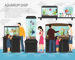 Buying a Saltwater Aquarium – Looking for Deals