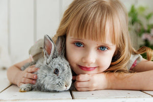 Caring for Pet Rabbits – Ultimate Guide