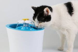 Cat Water Fountain: The #1 Solution to Keep Your Cat Hydrated and Healthy