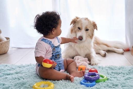 Children and Pets – Teaching Them to Co-Exist