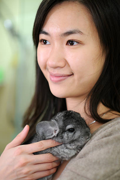 Chinchilla Pet Sitter – How to Find a Good One