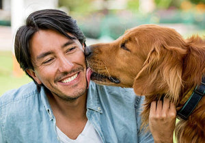 Decoding Your Dog's Licking Behavior: What It Really Means