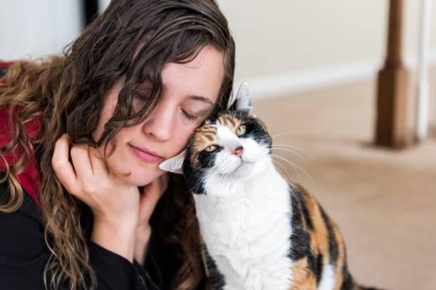 Do Cats Bond with Humans? - The Answer