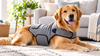 Dog Anxiety Jacket: How Calming Compression Vests Help Dogs During Thunderstorms, Fireworks and Travel