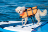 Why Every Dog Needs a Dog Life Jacket: The Ultimate Safety Guide!