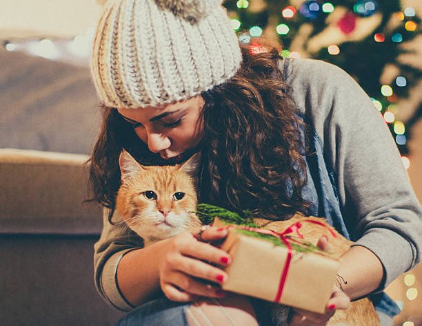 Gifts For Cat Lovers – How to Choose Them