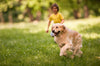 The Ultimate Guide: How to Keep Your Dog Healthy