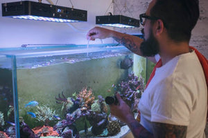 How to Set Up a Saltwater Aquarium – Step by Step