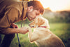 The Ultimate Guide to Training Your Beloved Pet