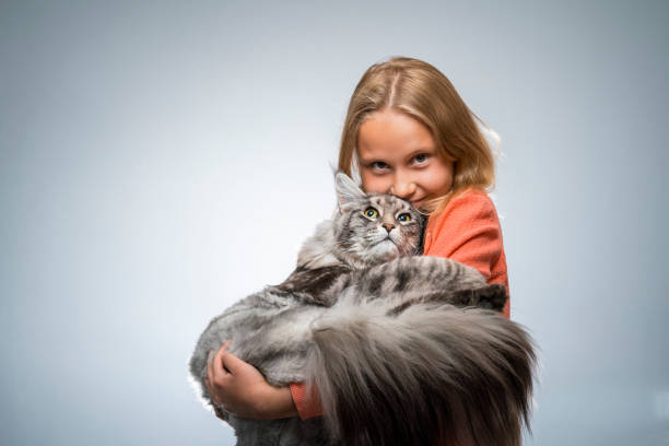 Maine Coon Cat – You Should Consider One