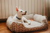 Is a Memory Foam Dog Bed Worth It? Here’s What You Need to Know!