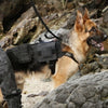 Military Dog Harness (Excellent Idea)