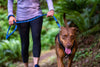 You Won't Believe How Easy Walks Can Be with a No Pull Dog Harness!