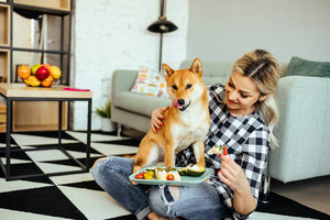 Discover How Personalized Pet Nutrition Is Revolutionizing Pet Care!