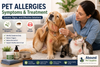 Pet Allergies Symptoms and Treatment: Causes, Signs, and Effective Solutions
