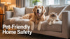 Pet-Friendly Home Safety: Expert Tips and Product Recommendations for Dog and Cat Owners