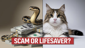 Is Pet Insurance a Scam or a Lifesaver? You’ll Be Stunned by the Math.