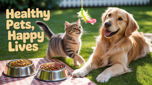 Pet Obesity Diet and Exercise: Effective Plans to Help Dogs and Cats Lose Weight Safely
