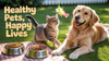 Pet Obesity Diet and Exercise: Effective Plans to Help Dogs and Cats Lose Weight Safely