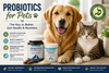 Probiotics for Pets: The Key to Better Gut Health and Nutrition