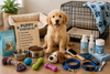 Puppy Starter Kit Checklist: Essential Supplies Every New Dog Owner Should Buy