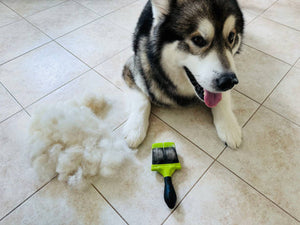 Self Cleaning Dog Brushes Explained: How They Make Grooming Quick and Easy