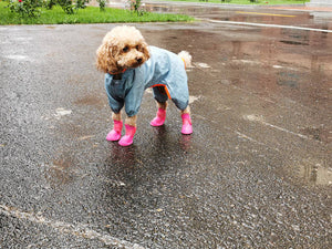 Waterproof Dog Boots - The One Product You Never Knew Your Dog Needed!