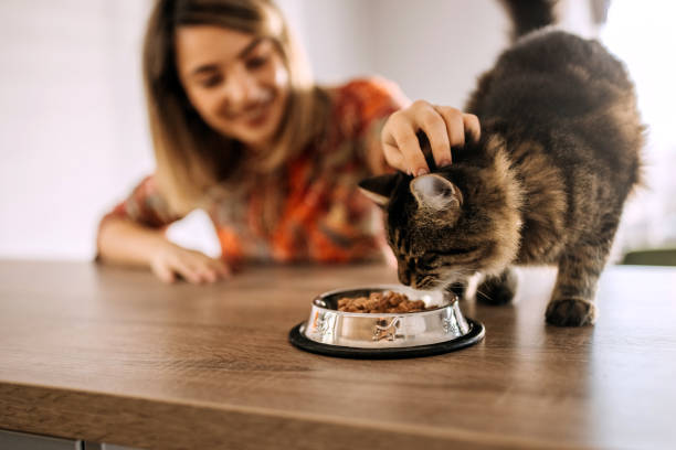 The Ultimate Guide to Pet Nutrition: What Should I Feed My Pet?