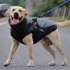 Winter Jacket for Dogs: The Ultimate Guide to Keeping Your Pup Warm and Stylish!