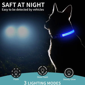 Abound AirTag Dog Collar - Waterproof LED luminous collar with Apple AirTag holder, durable nylon material, adjustable sizing for small, medium, and large dogs, USB rechargeable for 12-hour glow, perfect for GPS tracking and nighttime safety.