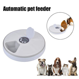 automatic pet food dispenser