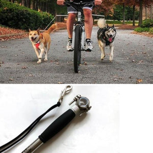 bicycle dog leash