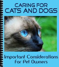 caring for cats and dogs