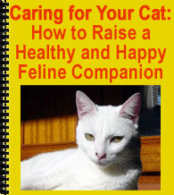 Caring for Your Cat: How to Raise  a Healthy and Happy Feline Companion