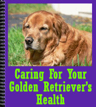 caring for your golden retriever