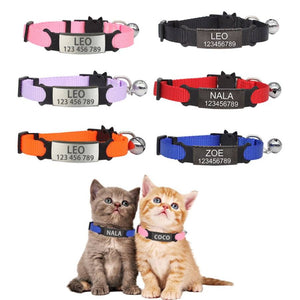 cat collar with name