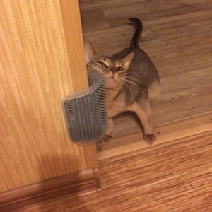 cat corner brush